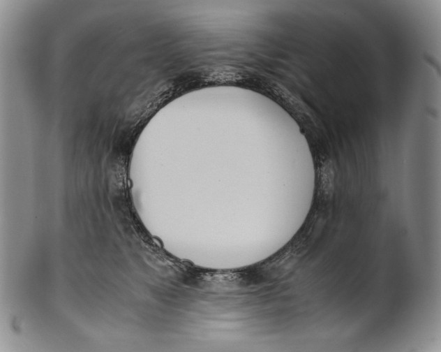 X0000100770517200807101755