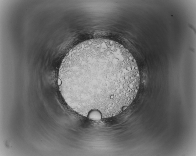 X0000100770519200807101755