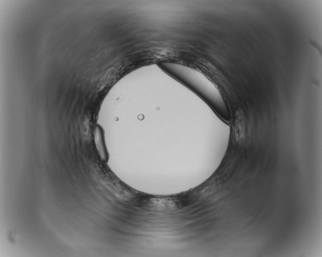 X0000100770520200807101754