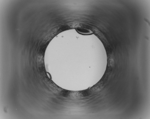 X0000100770521200807101754