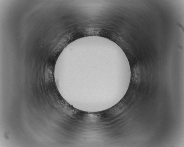 X0000100770522200807101754
