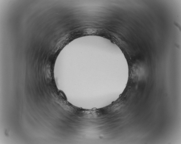 X0000100770524200807101754