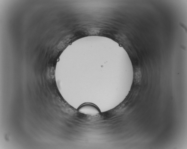 X0000100770525200807101754