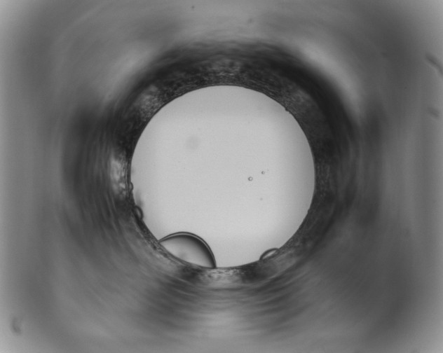 X0000100770526200807101754