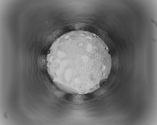 X0000100770527200807101754