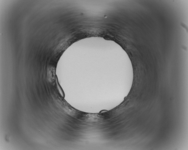 X0000100770528200807101754