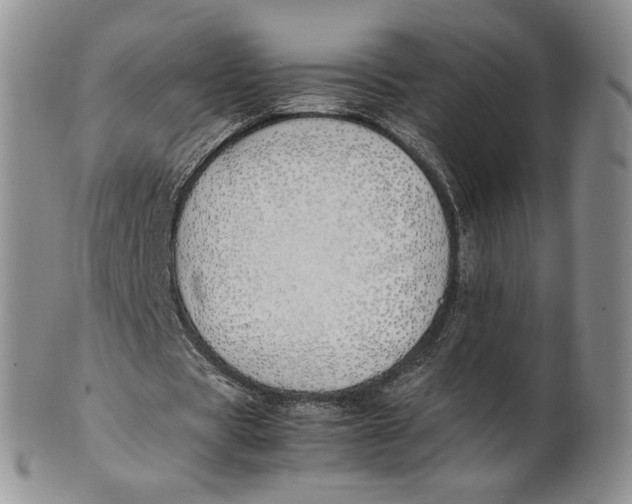 X0000100770529200807101754