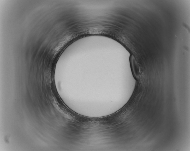 X0000100770530200807101754