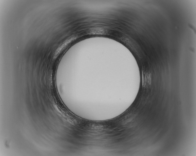 X0000100770531200807101754