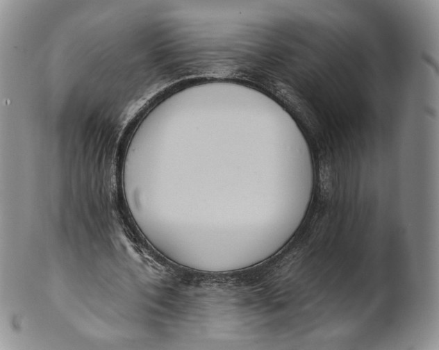 X0000100770532200807101754