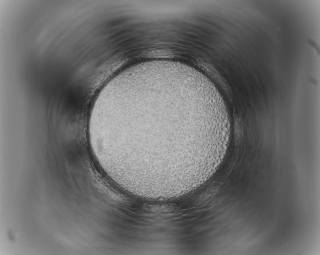 X0000100770533200807101754