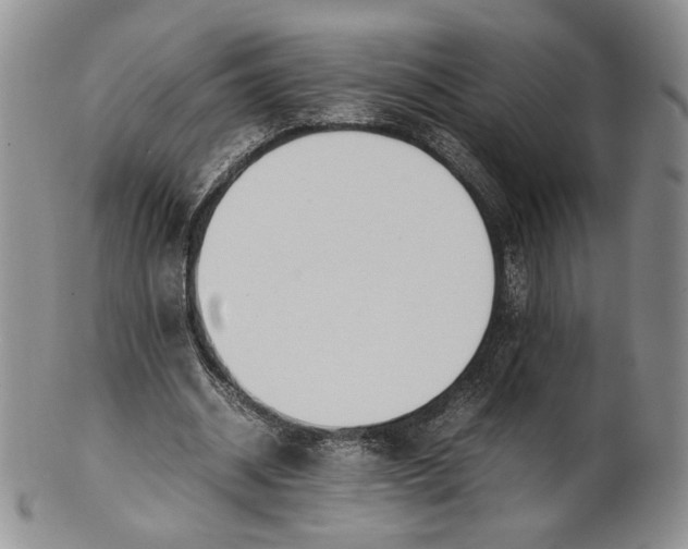 X0000100770534200807101754
