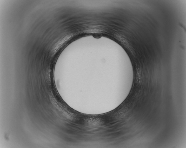 X0000100770535200807101754
