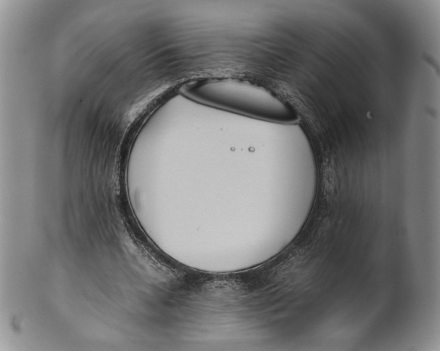 X0000100770536200807101754