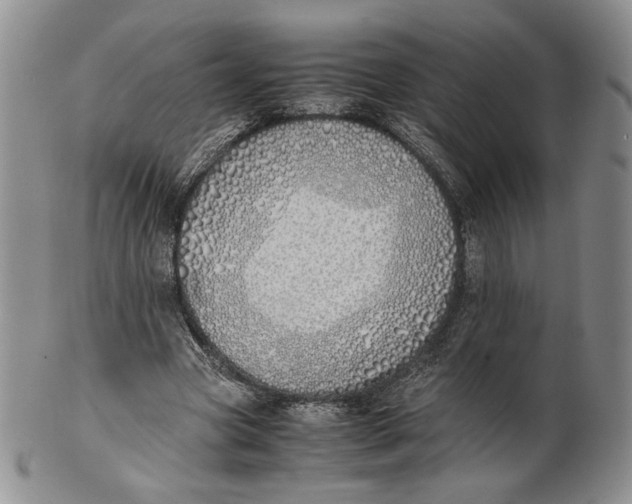 X0000100770537200807101754