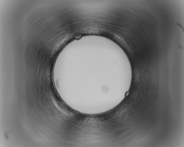 X0000100770538200807101754