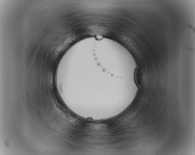 X0000100770539200807101754