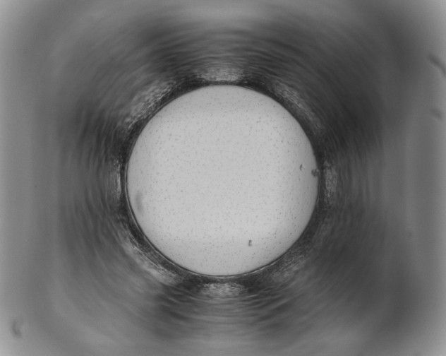 X0000100770541200807101754