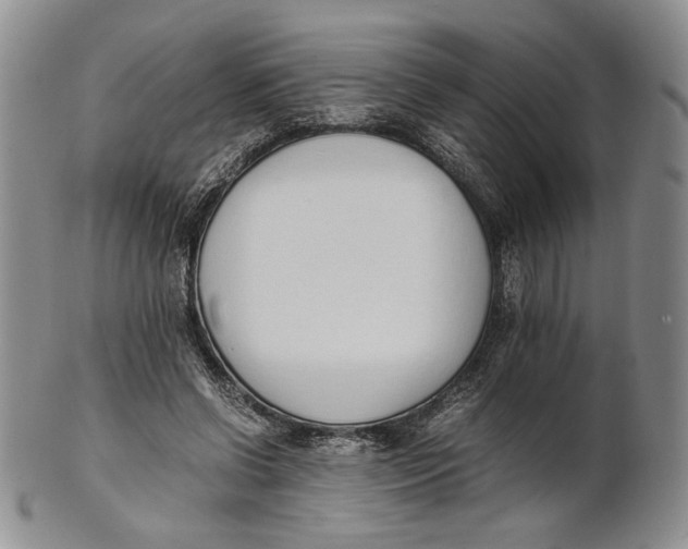 X0000100770542200807101754