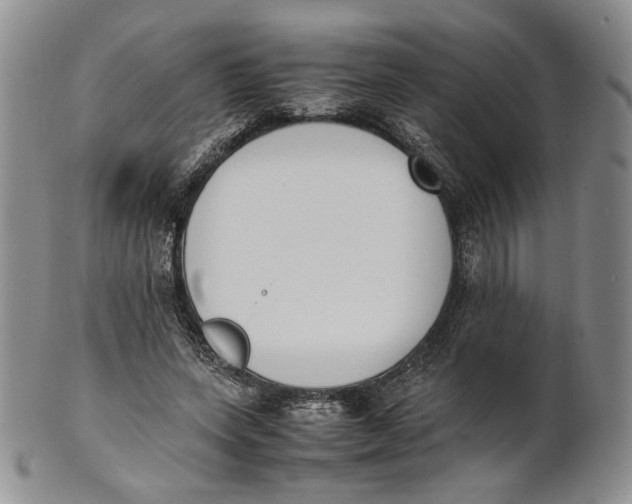 X0000100770543200807101754