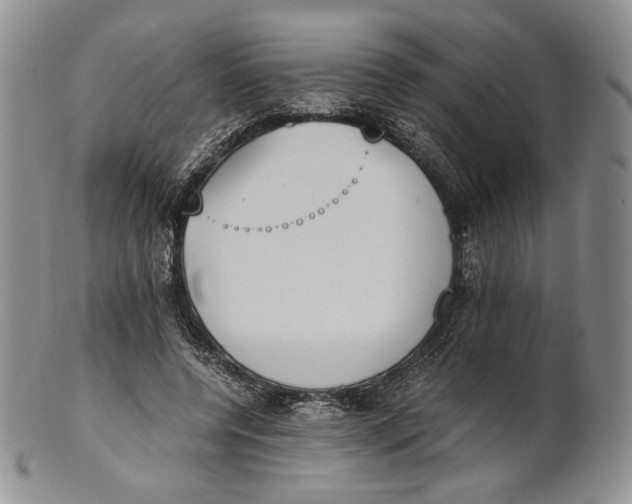X0000100770544200807101754