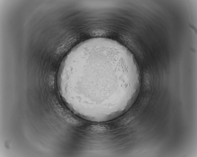 X0000100770545200807101754