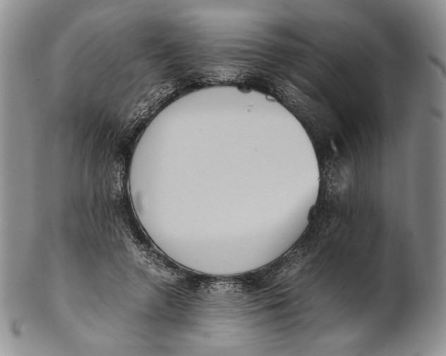 X0000100770546200807101754