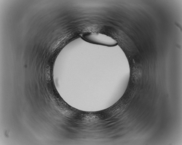 X0000100770547200807101754