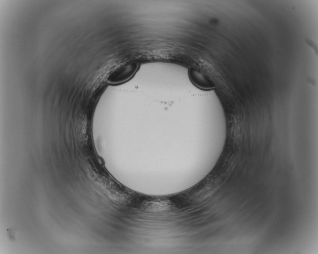 X0000100770548200807101754