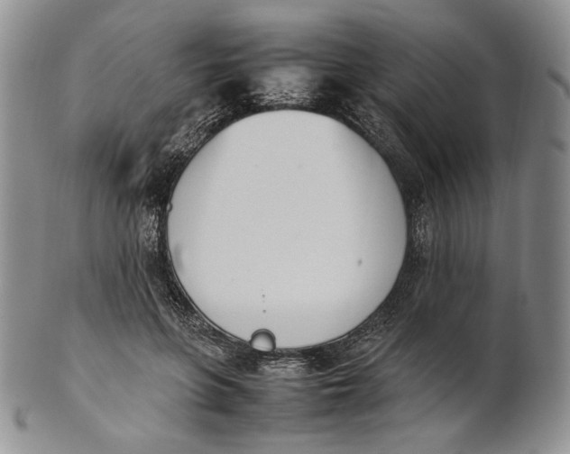 X0000100770551200807101754