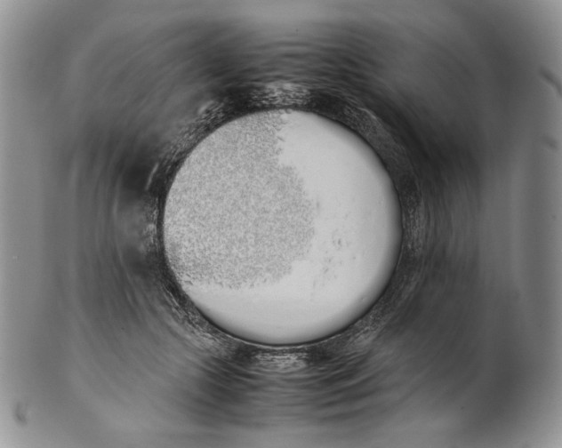 X0000100770553200807101754
