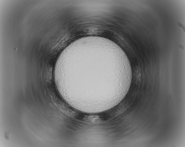 X0000100770554200807101754