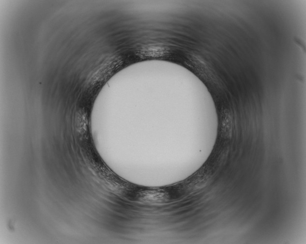 X0000100770555200807101754