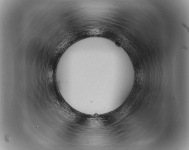 X0000100770556200807101754