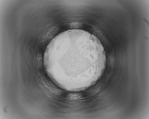 X0000100770557200807101754