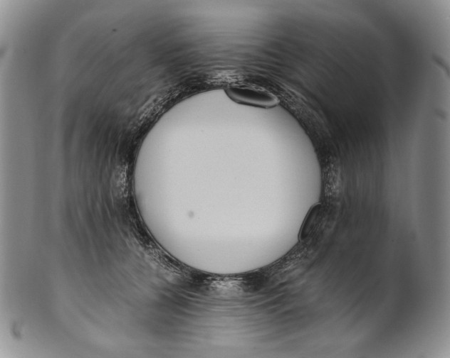 X0000100770560200807101754