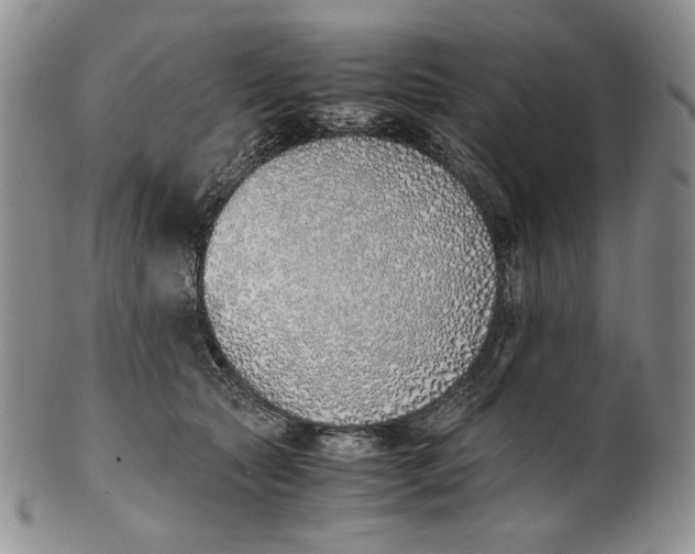 X0000100770561200807101754