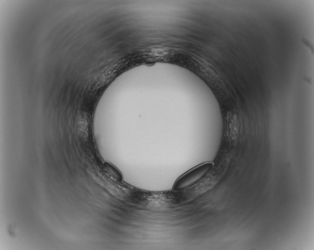 X0000100770562200807101754