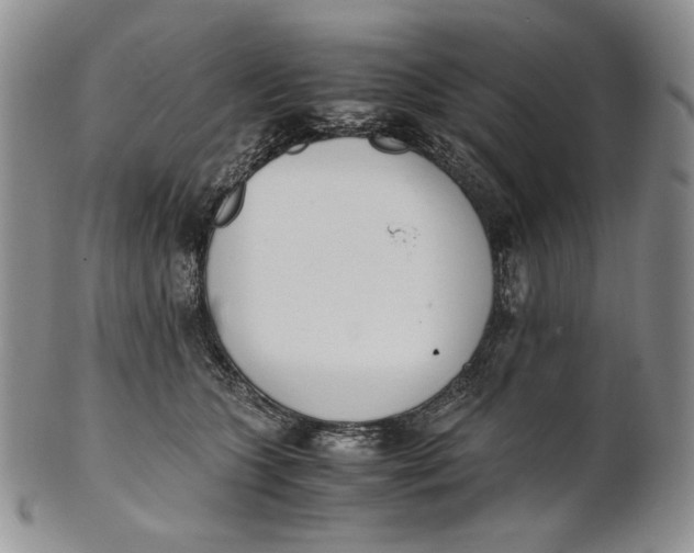 X0000100770563200807101754