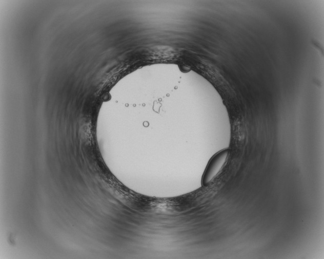 X0000100770564200807101754