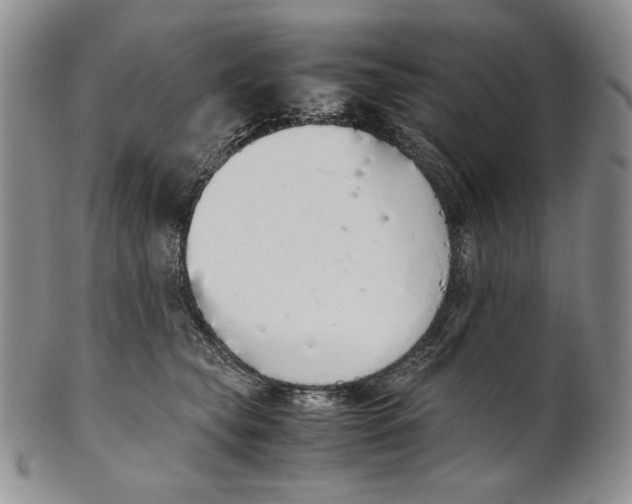 X0000100770565200807101754