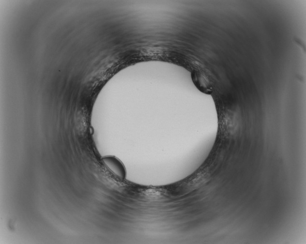 X0000100770566200807101754