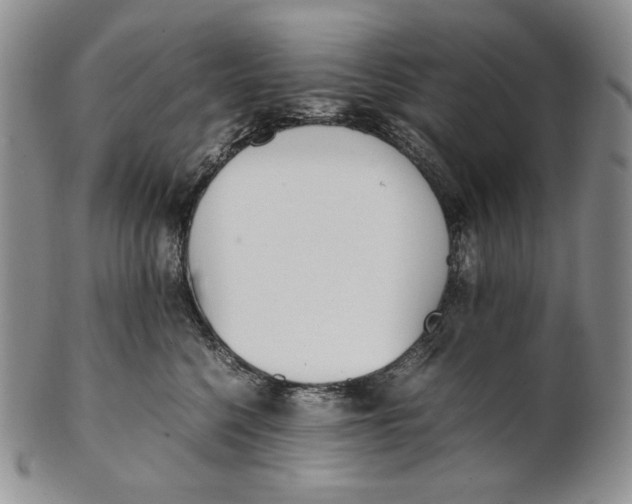 X0000100770568200807101754