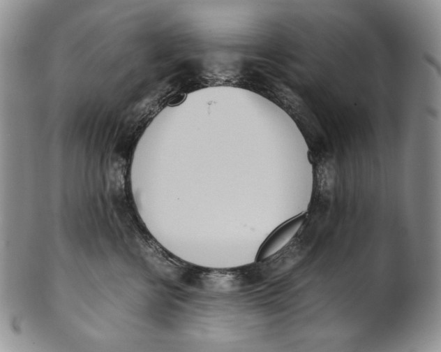 X0000100770570200807101754