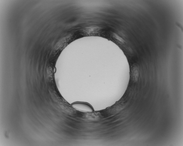 X0000100770571200807101754