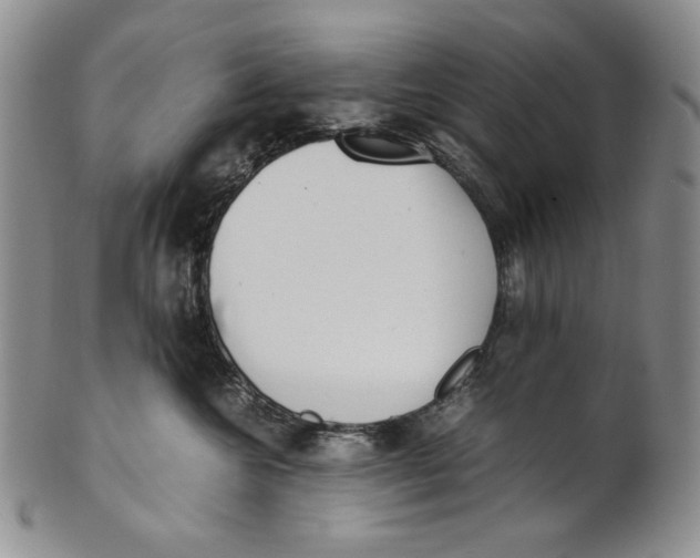 X0000100770572200807101754