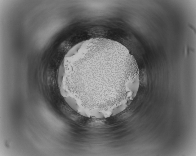 X0000100770573200807101754