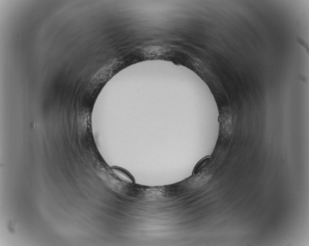 X0000100770574200807101754