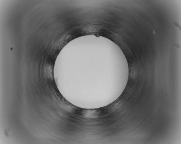 X0000100770575200807101754