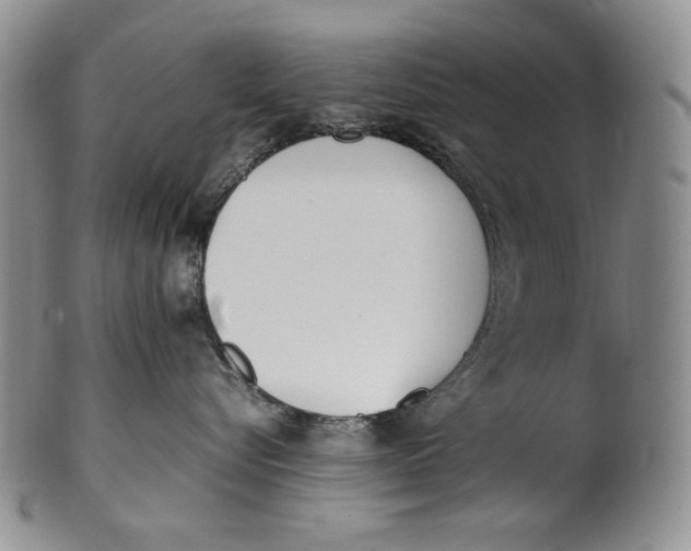 X0000100770576200807101754